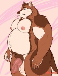 5_fingers anthro barazoku belly big_muscles big_pecs blue_eyes brown_body brown_fur canid canine canis claws fingers foreskin fur genitals hi_res male mammal musclegut muscular muscular_anthro muscular_male nipples overweight overweight_anthro overweight_male pawpads pecs penis pink_nipples signature solo treebarkdragon twitter_handle vein veiny_penis whiskers wolf