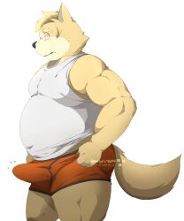 2022 5:6 absurd_res anthro belly blush bulge canid canine canis clothed clothing domestic_dog erection erection_under_clothing hi_res humanoid_hands kemono male mammal overweight overweight_male simple_background skyverchase solo underwear white_background