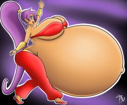 shantae (character) from shantae by cyberpunk1993