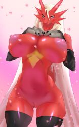 blaziken from nintendo by convex-silicone