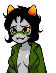 nepeta leijon from homestuck by unknown artist