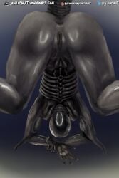 2:3 alien alien_(franchise) anus female female_xenomorph flat_chested genitals hi_res humanoid looking_at_viewer looking_down nihilophant presenting presenting_pussy pussy smile solo xenomorph