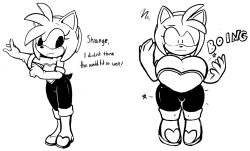 amy rose from sonic (series)