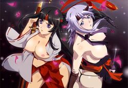 queen's_blade queen's_blade shizuka tomoe