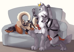 3boys anthro arms_behind_back ball_gag balls bondage bound canine collar couch dodgercr erection fur furry furry_only gag gay gay_domination kangaroo knot leash leash_pull male male_only maledom malesub marsupial multiple_boys multiple_subs no_swift penis shadowweasel tail_bondage threesome thundergrey wolf yaoi