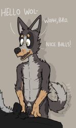 animal_genitalia anthro balls big_balls canid canine canis compliment dialogue domestic_dog duo excited fluffy_balls genitals greeting interrupted_speech looking_at_genitalia looking_at_penis male male/male mammal offscreen_character penis pubes scar sheath size_difference skinny tail_motion tailwag wolf