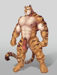 absurd_res anthro areola balls barazoku biped bladetiger countershade_face countershade_fur countershade_torso countershading felid fur genitals glans hi_res humanoid_genitalia humanoid_penis male mammal muscular muscular_anthro muscular_male nipples pantherine penis solo striped_body striped_fur stripes tiger vein veiny_penis