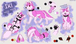 adelar_elric animal_genitalia balls black_nose bound canid canine canis chastity_cage chastity_device collar ear_piercing ear_ring eye_scar facial_scar feral fully_sheathed fur genitals hi_res male mammal model_sheet multiple_angles pawpads piercing pink_body pink_fur red_eyes ring_piercing scar sheath solo tongue tongue_out wolf