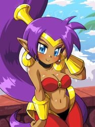 1girls belly_dancer belly_dancer_outfit blue_eyes cleavage dark-skinned_female female female_only large_breasts linker long_hair looking_at_viewer pointy_ears ponytail purple_hair shantae shantae_(character) smooth_skin solo