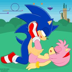 2022 amy_rose boots breasts closed_eyes exposed_torso female female_penetrated footwear furry handwear leg_up male nude_female open_mouth penetration sega sex snailbail22 sonic_(series) sonic_frontiers sonic_the_hedgehog sonic_the_hedgehog_(series)