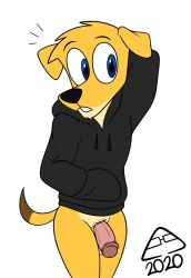 2020 abstract_background anthro blue_eyes bottomless bottomless_anthro bottomless_male canid canine canis clothed clothing corgidor dated digital_drawing_(artwork) digital_media_(artwork) domestic_dog doritohead fur genitals hand_behind_head hand_in_pocket hi_res hoodie hoodie/briefs_meme male mammal meme mixed_breed multicolored_body multicolored_fur penis pockets short_tail simple_background solo tan_body tan_fur topwear two_tone_body two_tone_fur wally_pembroke watermark white_background yellow_body yellow_fur