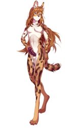 absurd_res anthro balls blue_eyes countershade_face countershade_fur countershade_torso countershading emile_(fuzzylolipop) felid feline fur genitals girly hair hi_res long_hair male mammal nude penis rokito serval simple_background solo white_background