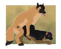 5:4 animal_genitalia animal_penis breeding canid canine canine_genitalia canine_penis canis domestic_dog duo ear_piercing feral feral_only footprint futa_penetrating futanari genitals german_shepherd hair hedonophobia_h herding_dog hi_res intersex intersex/male intersex_penetrating intersex_penetrating_male male male_penetrated malinois_dog mammal markings pastoral_dog pawprint pawprint_(marking) pawprint_tattoo penetration penis piercing quinton_(qshep) sheepdog size_difference tattoo tongue tongue_out