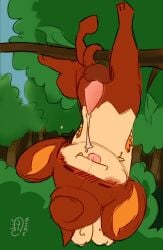 armpit_hair armpit_tuft balls bodily_fluids body_hair closed_eyes cute_fangs digital_media_(artwork) english_text erection fangs feral forest forest_background furinmyeyes generation_5_pokemon genital_fluids genitals hands_behind_head hanging_by_tail hanging_from_branch head_tuft hi_res male nature nature_background nintendo nude orange_armpit_hair outside pansear penis plant pokemon pokemon_(species) precum precum_string prehensile_tail smile solo tail tapering_penis teeth text tongue tongue_out tree tuft upside-down