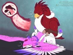 4:3 animal_genitalia animal_penis avian beak bird blush bodily_fluids breath cervical_penetration chocobo chocomage cum cum_in_uterus cum_in_vagina cum_inside digital_media_(artwork) dragon duo erection feathered_wings feathers female female_penetrated feral final_fantasy genital_fluids genitals internal male male/female male_penetrating male_penetrating_female mythological_creature mythological_scalie mythology open_mouth panting penetration penile penile_penetration penis penis_in_vagina pussy red_body red_feathers scalie sex simple_background square_enix sweat tail tail_coil uterus vaginal_penetration vogold vulva wings