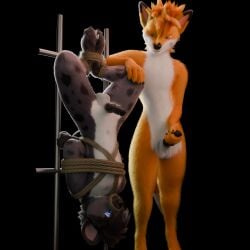 1:1 absurd_res anthro blue_eyes bondage canid canine dom/sub duo erection fox fox_the_hyena fur grey_body grey_fur hi_res hyena male male/male mammal orange_body orange_fur red_fox spotted_hyena true_fox white_body white_fur