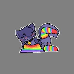 1:1 anthro hi_res lgbt_pride male pride_colors solo taikupy_(character) taikupy_cat