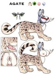 2017 4_legs 4_toes 5_fingers agate_(hp1741a) animal_genitalia anus ass big_breasts black_markings blue_hair bottomless bottomless_herm bottomless_intersex bottomless_taur bra breasts chakat character_name close-up clothed clothing colored countershade_butt countershade_face countershade_fur countershade_hands countershade_legs countershade_neck countershade_paws countershade_tail countershade_torso countershading digitigrade erection eyes_close-up feet felid felid_taur fingers fur genital_close-up genitals glans green_eyes hair herm herm_taur hi_res huge_breasts hyper hyper_breasts intersex intersex_taur mammal mammal_taur markings model_sheet nipples nude nude_female nude_taur pantherine paws penis penis_close-up pussy_close-up quadruped rear_view riddleaugust sackless sheath shirt side_view simple_background snow_leopard solo standing tail tan_body taur text toes topwear underwear white_background white_body white_countershading