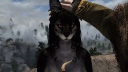 khajiit from bethesda game studios