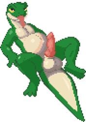 animated animation_loop balls bedroom_eyes belly big_balls breathing digital_media_(artwork) gecko genitals grey_body knot lizard looking_at_viewer low_res lying male narrowed_eyes on_back penis pixel_(artwork) reptile scalie seductive solo tail throbbing throbbing_balls throbbing_penis tongue tongue_out vore vorochi white_belly