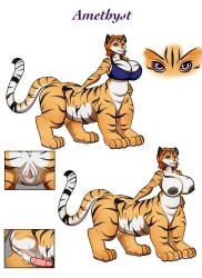 2016 4_legs 4_toes 5_fingers absurd_res alternate_version_at_source amethyst_(hp1741a) animal_genitalia anus areola ass big_breasts black_areola black_ears black_markings black_nipples bottomless bottomless_herm bottomless_intersex bottomless_taur bra bra_only breasts chakat character_name close-up clothed clothing colored countershade_butt countershade_face countershade_fur countershade_hands countershade_neck countershade_paws countershade_tail countershade_torso countershading digitigrade erection eyes_close-up feet felid felid_taur fingers fur genital_close-up genitals glans hair hand_on_hip hand_on_own_hip herm herm_taur hi_res huge_breasts intersex intersex_taur mammal mammal_taur markings model_sheet nipples nude nude_female nude_taur orange_body orange_fur pantherine paws penis penis_close-up purple_eyes pussy_close-up quadruped rear_view red_hair riddleaugust sackless sheath side_view simple_background smile solo standing stripes tail taur text tiger toes topwear underwear underwear_only white_background white_body white_countershading