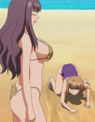 2girls agent_aika aika_r-16 aika_sumeragi ass beach bikini black_hair breasts brown_hair curvy female human large_breasts light-skinned_female light_skin long_hair mature risako_nagisa stitched teacher villainess