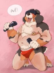 alebehemut anthro barking belly bernese_mountain_dog big_belly blush bodily_fluids bulge canid canine canis clothed clothing domestic_dog dripping english_text erection erection_under_clothing fur gay happy hi_res human human_to_anthro jockstrap kneeling male mammal molosser mountain_dog nipple_piercing nipples onomatopoeia open_mouth overweight overweight_male piercing saliva saliva_drip simple_background solo sound_effects species_transformation swiss_mountain_dog teeth text tongue tongue_out transformation tuft underwear virtual_reality vr_headset