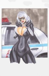 1girls black_cat_(marvel) chris_foulkes curvaceous curvy curvy_female curvy_figure felicia_hardy female female_only hourglass_figure light-skinned_female light_skin marvel marvel_comics solo solo_female spider-man_(series) straight_hair tagme voluptuous voluptuous_female