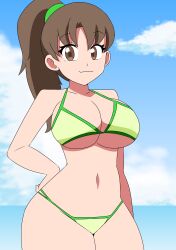 1girls beach belly_button big_breasts bikini brown_hair busty cleavage erica_(lirudraw) female female_only green_bikini hand_on_hip legs lirudraw looking_at_viewer navel ocean ponytail smile thick_thighs thighs voluptuous water