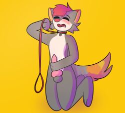 1boy anthro blushy bodily_fluids canid canine canis collar collar_pull cum fox fur genital_fluids genitals hi_res hybrid knot leaking_cum leaking_precum leash leash_and_collar leash_pull male male_only mammal masturbation moan open_mouth orange_body orange_fur paws penis pointed_tail precum pubes red_body red_fur sex shadings simple_background solo sparks_swiftpaw tail_motion tipped_ears unknown_artist wolf yellow_background yellow_body yellow_fur