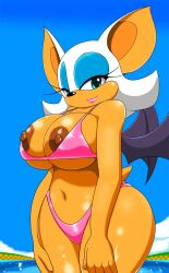 beach bikini rouge_the_bat sega sonic_(series) sonic_the_hedgehog_(series) speeds tagme