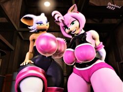 3d 3d_(artwork) 3d_model amy_rose amy_rose_(warfaremchine) amy_the_bat anthro big_breasts bra breasts chiropteran clothing digital_media_(artwork) domizoni duo eulipotyphlan female hedgehog hi_res mammal mobian mobian_(species) mobian_bat pinup pose rouge_the_bat rouge_the_bat_(cosplay) rouge_the_bat_(warfaremchine) sega sonic_(series) sonic_adventure_2 sonic_the_hedgehog_(series) source_filmmaker thick_thighs underwear