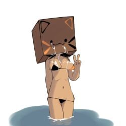 1girls :3 bikini black_hair box_on_head breasts calico_cat cardboard_box cum cum_on_upper_body cuptoast face_not_visible female_only medium_breasts navel peace_sign real_person recc000 solo_female standing swimsuit tagme v v_sign water youtube youtuber youtuber_girl