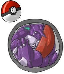 anthro balls big_penis cramped foot_claws generation_1_pokemon genitals green_ears hi_res horn huge_cock hyper hyper_genitalia hyper_penis internal longging male male_only multicolored_body muscular nidoking nintendo penis pokémon_(species) pokeball pokemon pokemon_(species) purple_body purple_skin solo teeth_showing two_tone_body video_games white_body white_skin worried_look