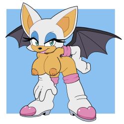 rouge the bat from sonic (series) by leatherruffian