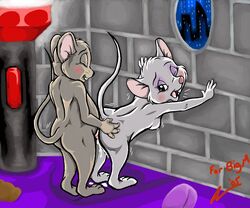 2005 bernard_(the_rescuers) disney miss_bianca nipples penis sex tagme the_rescuers