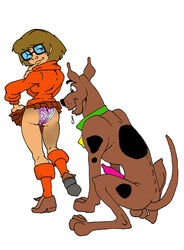 dennis_clark hanna-barbera penis scooby-doo scooby-doo_(character) tagme velma_dinkley zoophilia