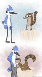 anthro art_style_clash avian blue_jay cartoon_network dracovar dracovar_valeford furry humanoid_penis interspecies male/male male_only mordecai raccoon regular_show rigby tagme yaoi