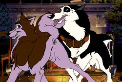 balto_(film) canine dog duo feral furry kodi male male_only mammal steele tagme yaoi