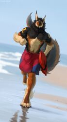 2022 anthro balls baywatch bayzan beach big_balls big_bulge biped black_body black_fur brown_body brown_fur bulge canid canine canis claws clothed clothing digital_media_(artwork) digitigrade domestic_dog fangs fur genitals german_shepherd gold_(metal) gold_tooth herding_dog hi_res huge_balls huge_bulge hybrid looking_at_viewer male male_only mammal multicolored_body multicolored_fur muscular muscular_anthro muscular_male oh_shit_adidas_coming pastoral_dog paws running running_towards_viewer seaside solo swimming_trunks swimwear toe_claws topless topless_anthro topless_male totesfleisch8 were werecanid werecanine werewolf white_body white_fur wolfdog