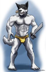 1boy 2d anthro artist_request balls bara bulge canine collar dog_treat doggo_(undertale) domestic_dog furry knife male male_only penis solo solo_male spiked_collar undertale undertale_(series) video_games