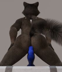 1boy dildo furry guardians_of_the_galaxy male male_only marvel no_name_no_problem presenting rocket_raccoon sex_toy solo solo_male