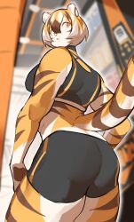 1girls abs amber_eyes anthro arknights aspirindabaitu big_ass big_breasts breasts bubble_butt female looking_at_viewer looking_back mx99926 solo solo_female tagme tiger tiger_girl waai_fu_(arknights)