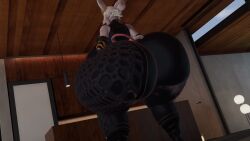3d Rule 34 Video