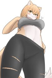 2022 anthro bike_shorts blush bottomwear bra breasts camel_toe canid canine clothing digital_media_(artwork) female female_anthro fox fur genital_outline hair hi_res kemono korfiorano looking_at_viewer low-angle_view mammal midriff pussy_outline rebekah shorts solo sports_bra torn_clothing underwear