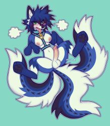 1futa 2022 3_tails alternate_version_at_source anthro balls big_penis big_tail blue_background blue_body blue_fur blue_sclera blush blush_lines bodily_fluids breasts canid canine collar colored digital_drawing_(artwork) digital_media_(artwork) dripping eye_through_hair fluffy fluffy_tail fox fur futanari genital_fluids genitals green_eyes gynomorph hair harness hi_res humanoid_genitalia humanoid_penis intersex lying mammal medium_breasts multi_tail navel nipples on_back pawpads paws penis precum precum_drip presenting shaded simple_background solo spiky_hair spread_legs spreading spunky_mutt teeth tongue tongue_out translucent translucent_hair watermark white_body white_fur ych_result