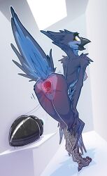2022 absurd_res anal_juice anthro anus ass avian beak bird bluebird bodily_fluids buttplug clitoris eve_azure_(pikmin117) feathers female gaping gaping_anus gaping_pussy genital_fluids genitals hi_res looking_back oscine passerine plug_(sex_toy) presenting presenting_hindquarters pussy pussy_juice ralek sex_toy simple_background solo tail_feathers talons thrush_(bird) urethra winged_arms wings