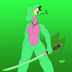 anthro breasts female fern_shinamori generation_3_pokemon genitals hi_res jewelry katana melee_weapon necklace ninjatreecko nintendo nude pokémon_(species) pokemon pokemon_(species) pussy solo sword treecko twig video_games weapon