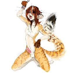 anklav anthro balls countershade_fur countershade_torso countershading dipstick_tail erection felid fur genitals girly hair jeffusherb male mammal markings open_mouth pantherine penis simple_background solo tail_markings tiger white_background