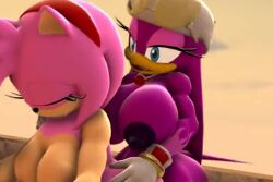 2futas 3d amy_rose anal anal_penetration anal_sex animated anthro balls_touching blackchaos64 duo exposed_torso footwear full-package_futanari futa_on_futa futa_only futanari handwear hoverboard lowres mp4 no_sound sfm sonic_(series) sonic_riders source_filmmaker tagme video wave_the_swallow